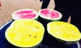 南充吃瓜爆料公司有哪些